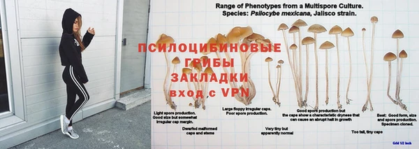 PSILOCYBIN Балахна