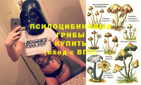 PSILOCYBIN Балахна