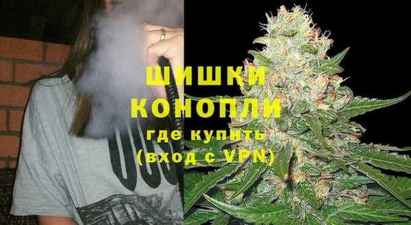 PSILOCYBIN Балахна